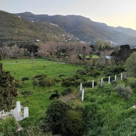 別荘 Stellinas Pretty House Ándros